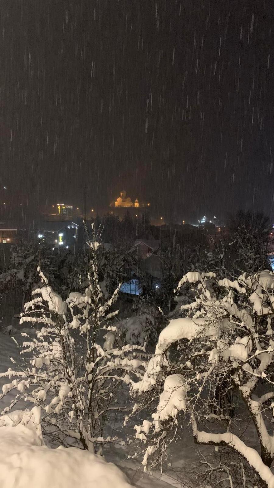 Eka'S Guest House ميستيا الغرفة الصورة